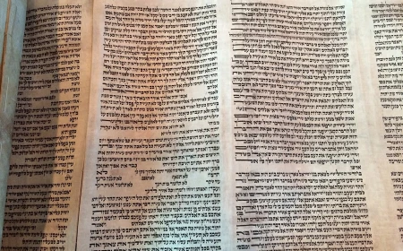 Queens Torah Campaign Anchored at Beth Gavriel Raises About $8 Million